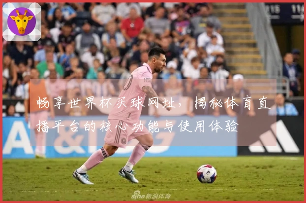 畅享世界杯买球网址，揭秘体育直播平台的核心功能与使用体验