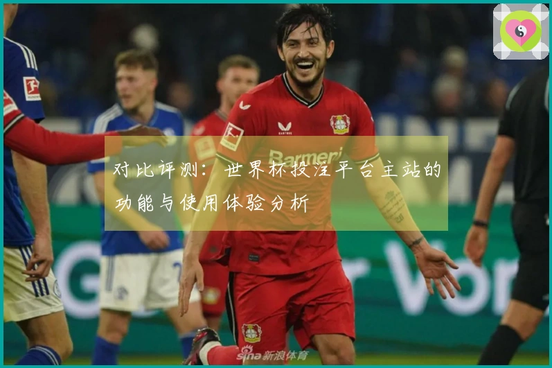 对比评测：世界杯投注平台主站的功能与使用体验分析