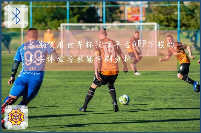 长期使用世界杯投注平台APP下载的真实体验与功能评测分析