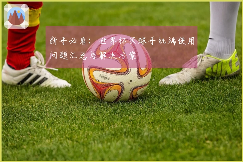 新手必看：世界杯买球手机端使用问题汇总与解决方案