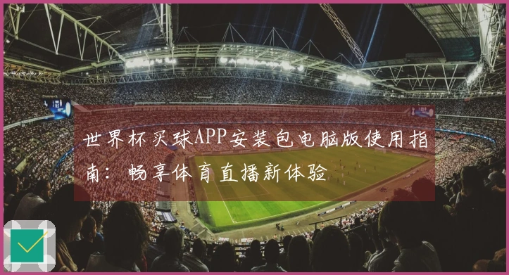 世界杯买球APP安装包电脑版使用指南：畅享体育直播新体验