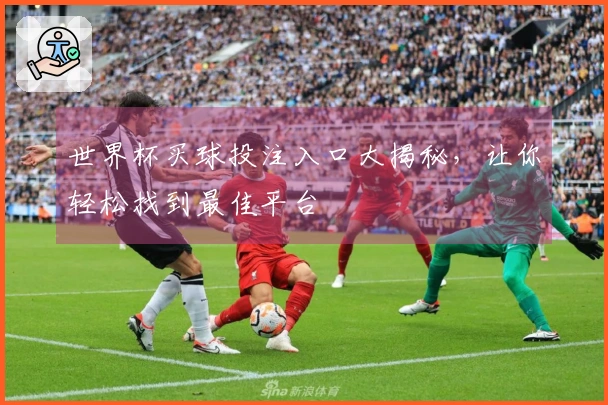 世界杯买球投注入口大揭秘，让你轻松找到最佳平台