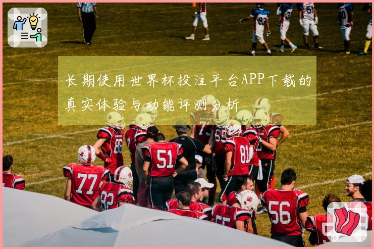 长期使用世界杯投注平台APP下载的真实体验与功能评测分析