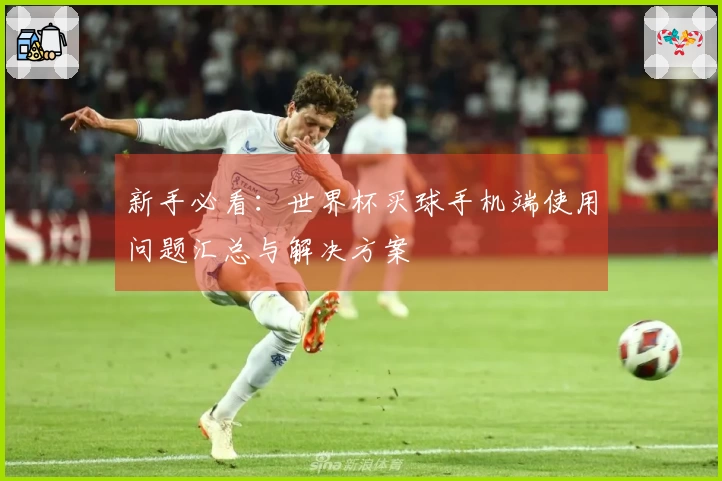 新手必看:世界杯买球手机端使用问题汇总与解决方案