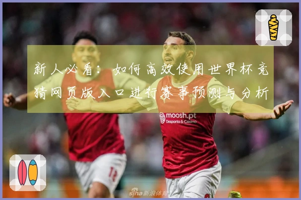 新人必看：如何高效使用世界杯竞猜网页版入口进行赛事预测与分析