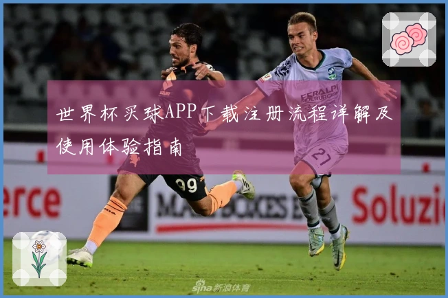 世界杯买球APP下载注册流程详解及使用体验指南