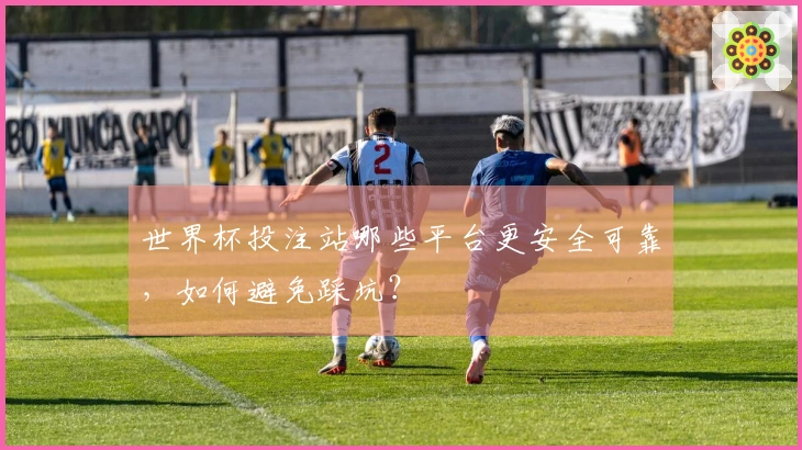 世界杯投注站哪些平台更安全可靠，如何避免踩坑？