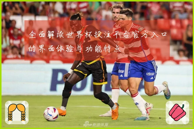 全面解读世界杯投注平台官方入口的界面体验与功能特点