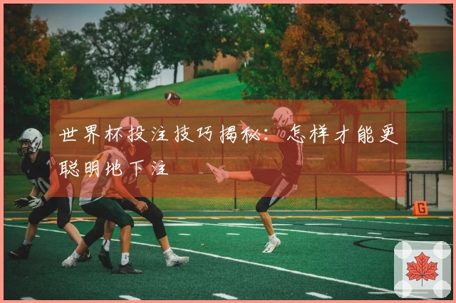 世界杯投注技巧揭秘：怎样才能更聪明地下注