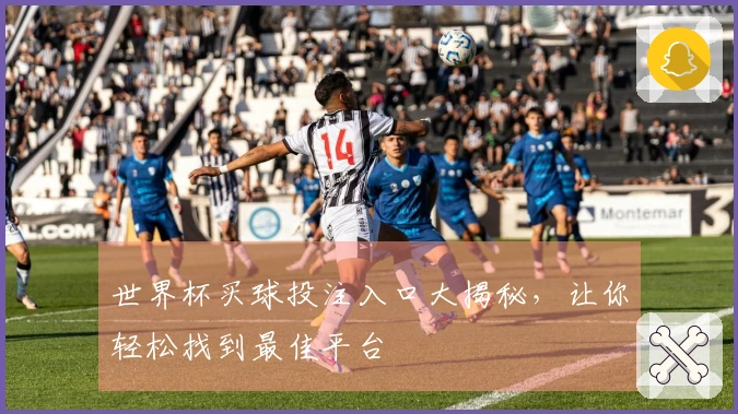 世界杯买球投注入口大揭秘，让你轻松找到最佳平台